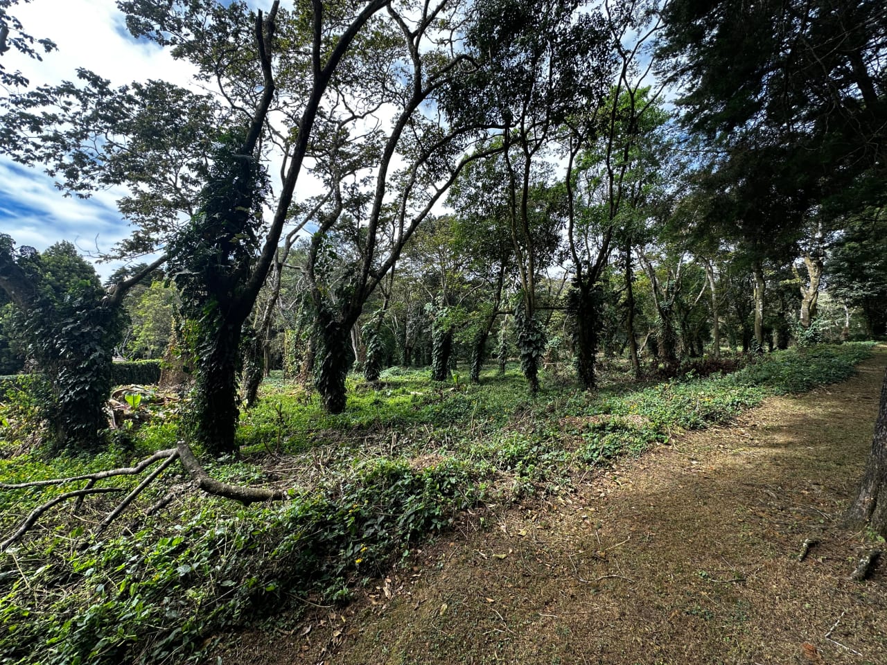Terreno en venta Premiere Campestre - Km. 22.5 CES — foto 7 de 11