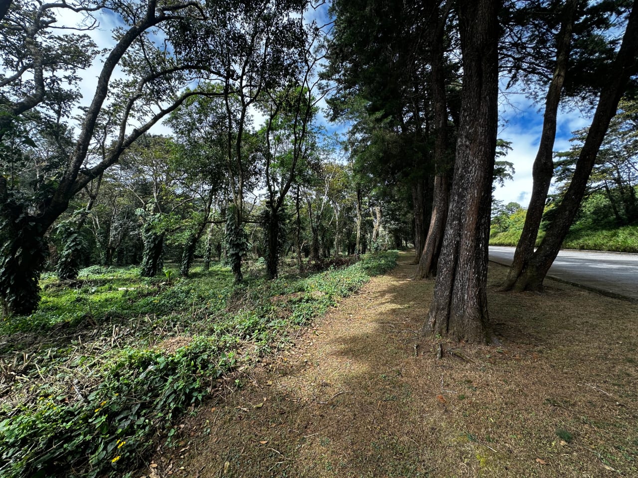 Terreno en venta Premiere Campestre - Km. 22.5 CES — foto 8 de 11